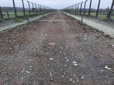 Gravel road with fences lining the road