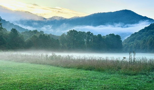 Lush mountain landscape with pockets of fog
