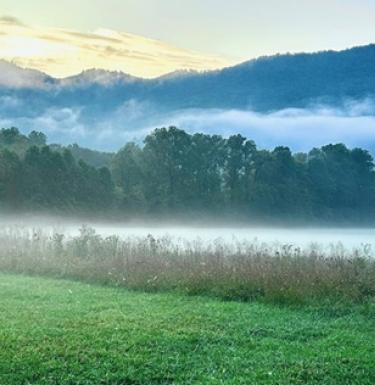 Lush mountain landscape with pockets of fog